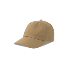 Atlantis Headwear Dad Hat