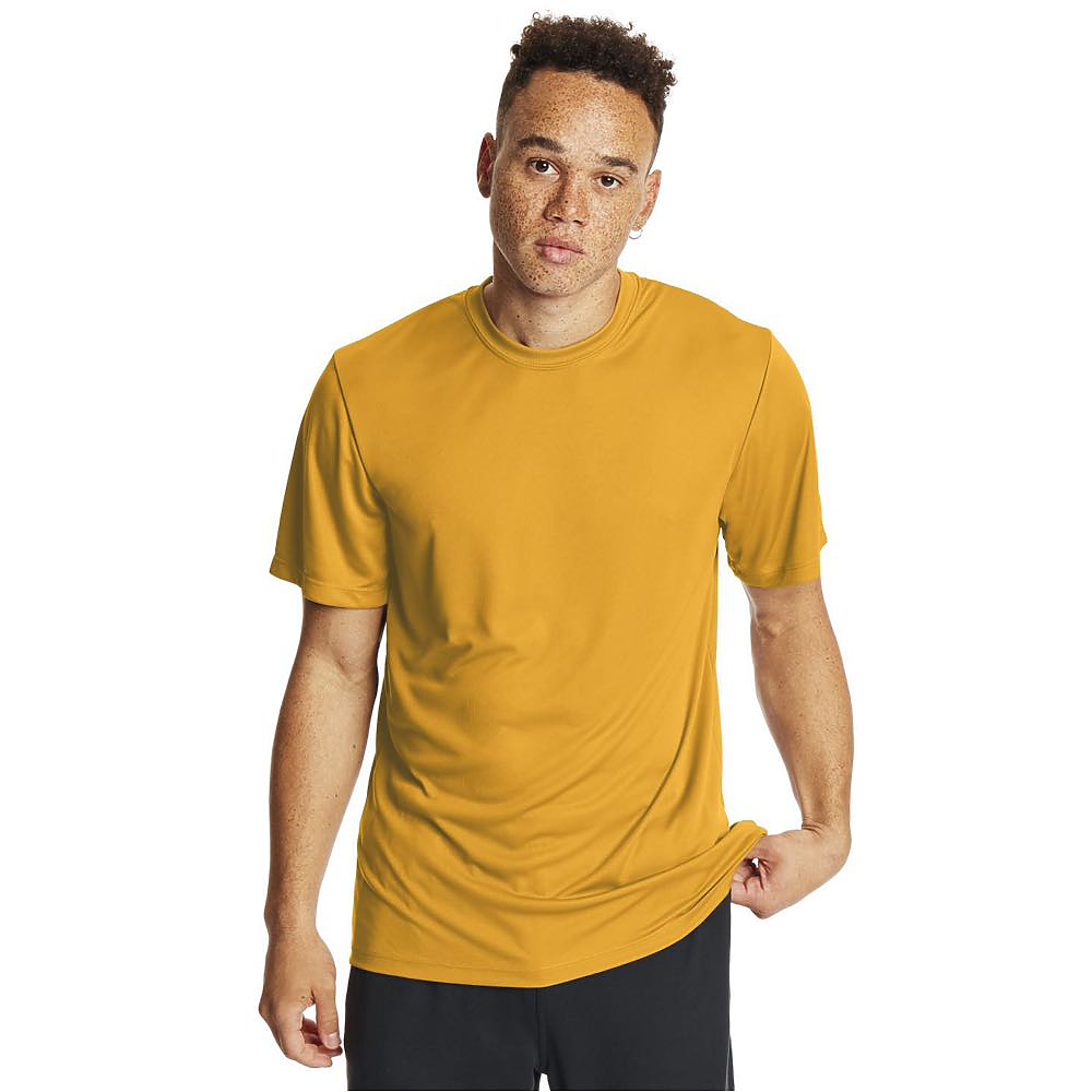Hanes Men's Cool Dri FreshIQ Short Sleeve T-Shirt - Polyester Interlock, Tagless, All Seasons, Regular Fit
