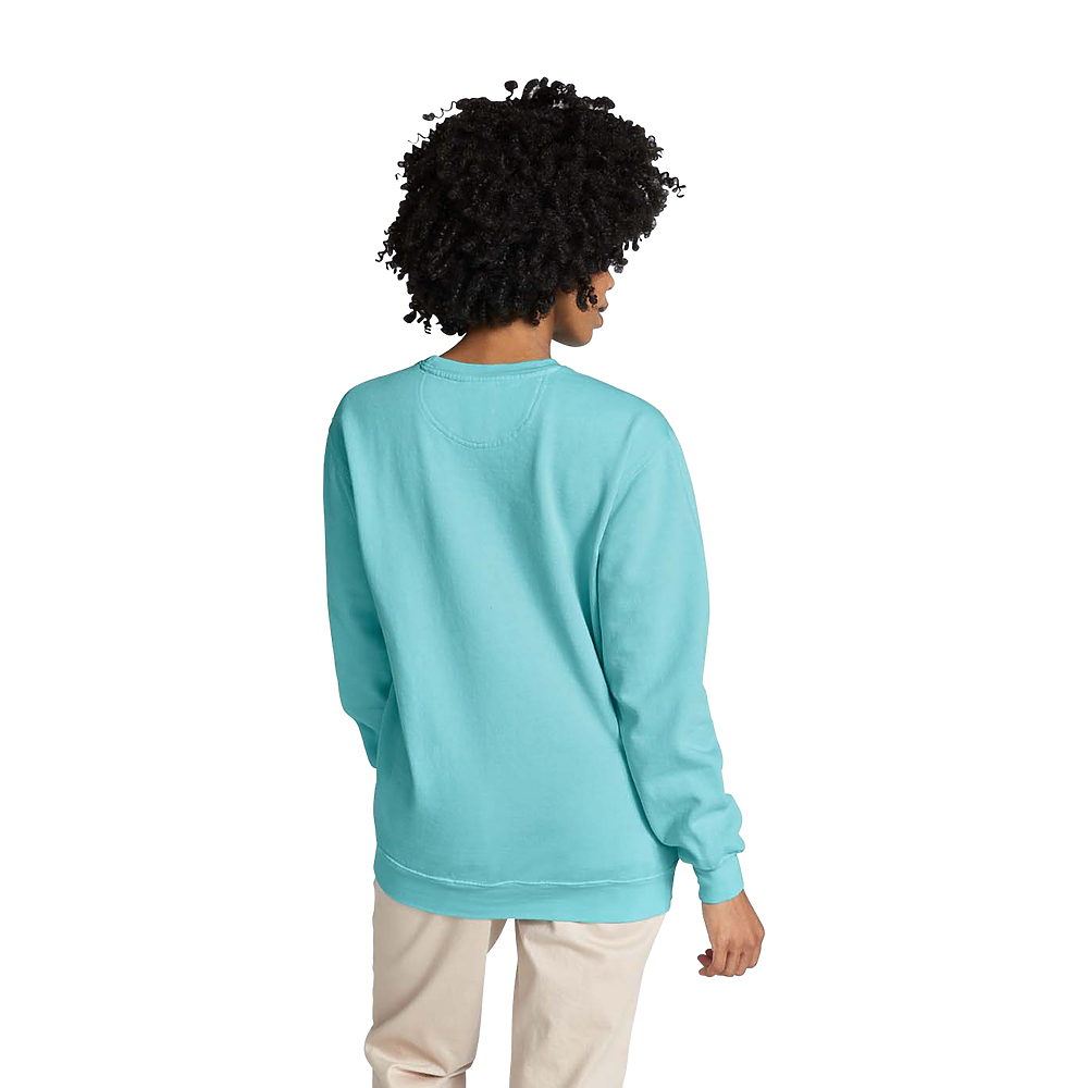 Comfort Colors Adult Crewneck Sweatshirt 1566 – 80% Cotton 20% Polyester Ringspun, S-3XL, Made In USA